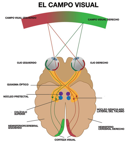 Empedócles de Agrigento