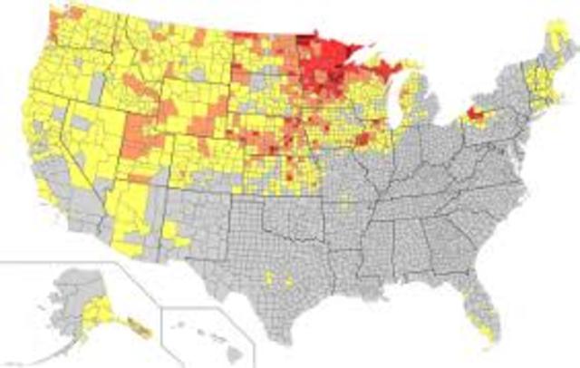 the Scandinavians immigrant