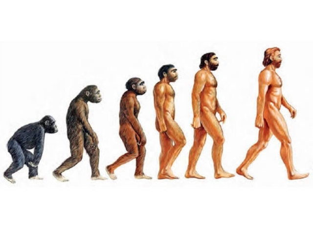 Avantpassats humans comencen l'expansió (en milions d'anys)