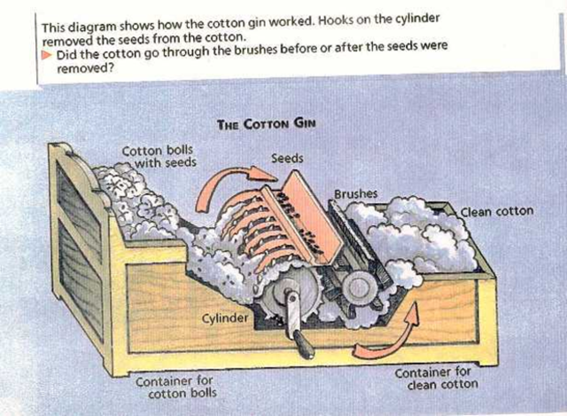 Invention of the Cotton Gin