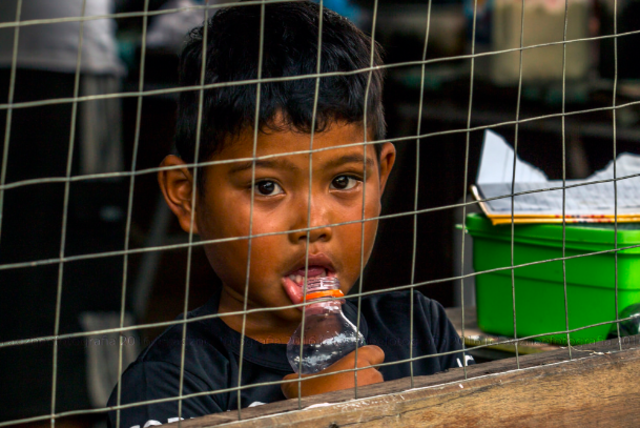 Proposal to regulate Flores Settlement