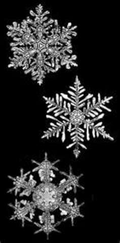 Largest Snowflakes Recorded
