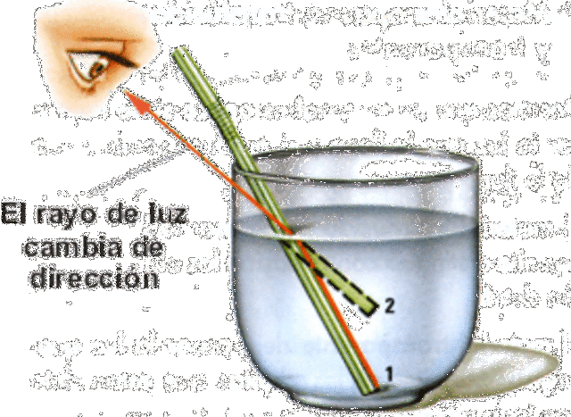 Ley de refracción