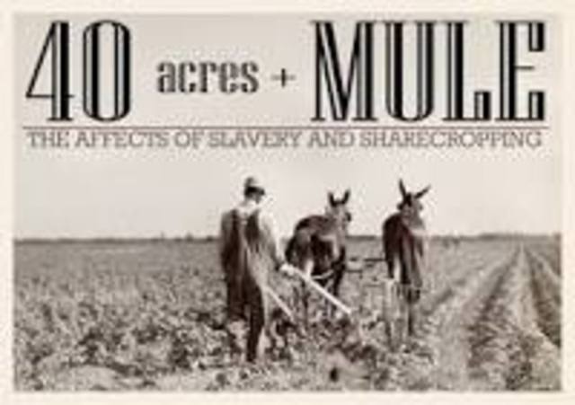 40 Acres and a Mule