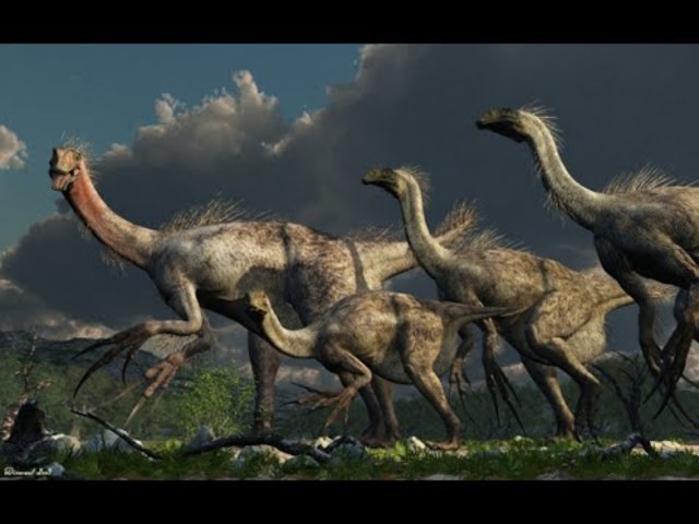 Evolució dels dinosaures. (Milions d'anys)