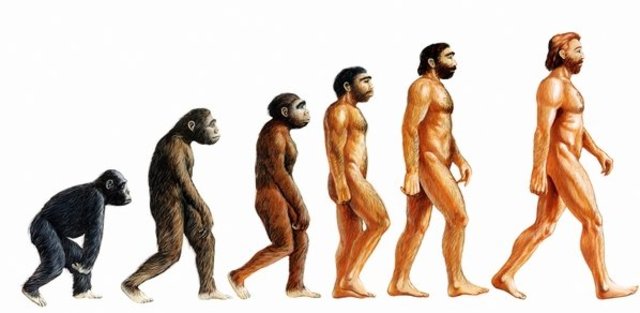 Origen dels primers humans