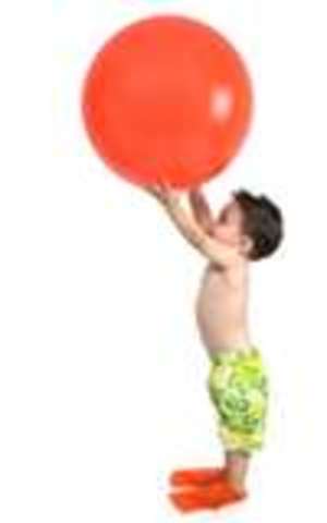 31-36 months (physical development)