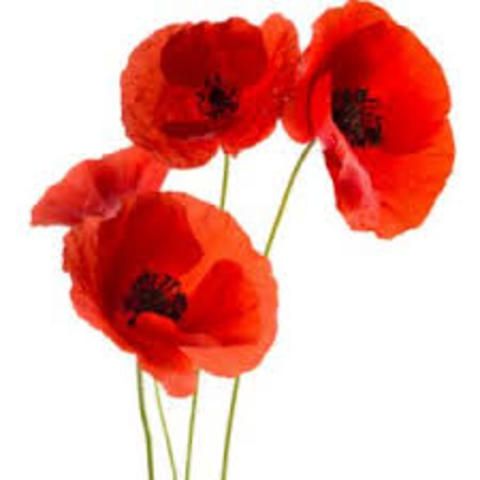 La première guerre mondial