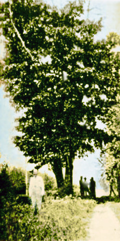 CIEN AÑOS DE SOLEDAD