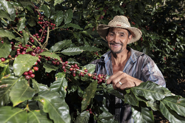 Proyecto Café in Red (2011-2013)