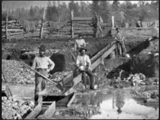 California Gold Rush