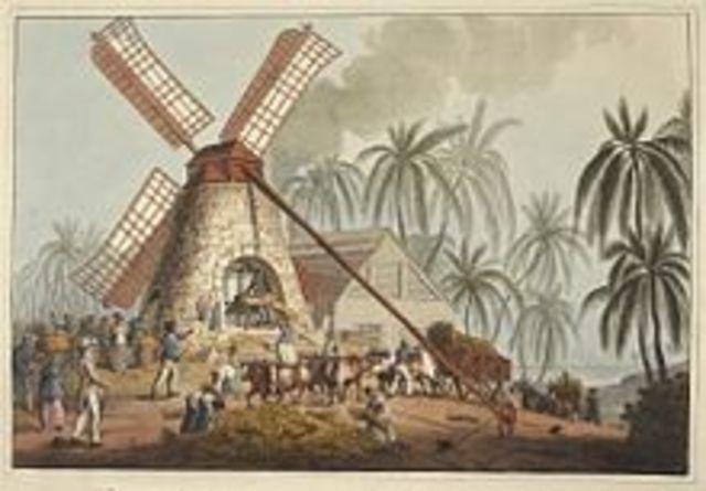 Sugar in the Caribbean Colonies