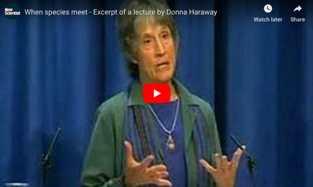 When Species Meet- An excerpt from a lecture Donna Haraway gave