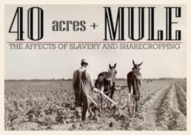 40 acres and a mule