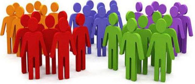 Teoría de las categorias sociales