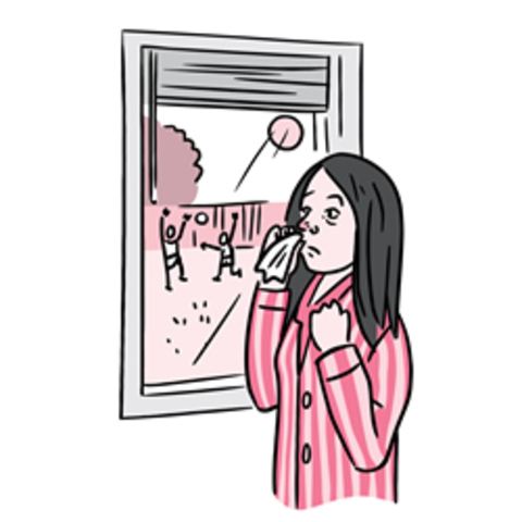 Enfermo de Salmonella