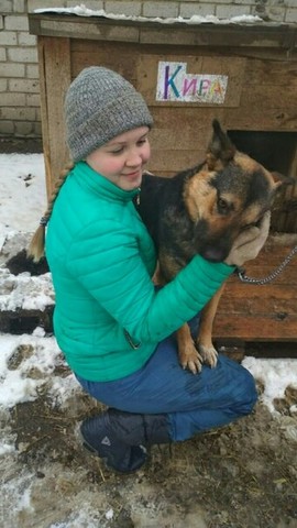 Посещение и уход за бездомными животными.