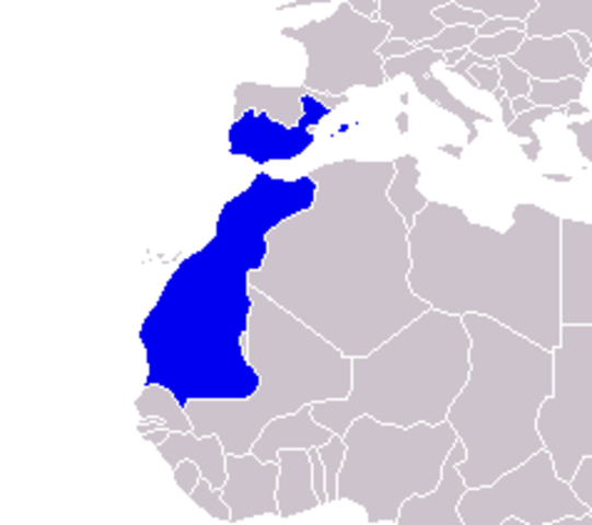 La llegada de los almorávides