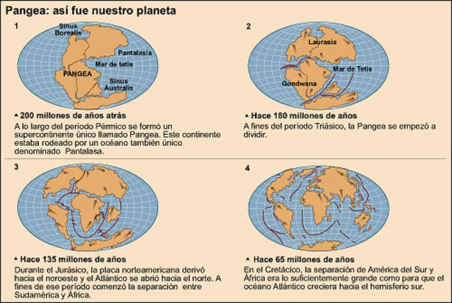 Fa 180 milions d'anys