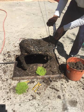 Llenado con la tierra negra y  forrado con la malla