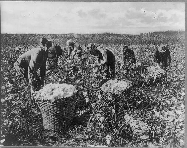 Sharecropping
