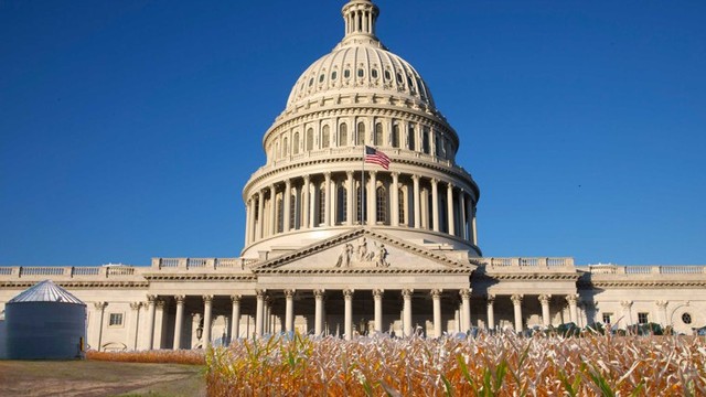 Washington D.C.as the New Capital