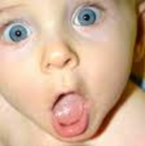 19-24 mos. intellectual growth