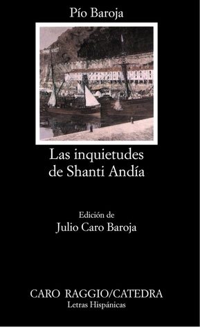 LAS INQUIETUDES DE SHANTI ANDÍA