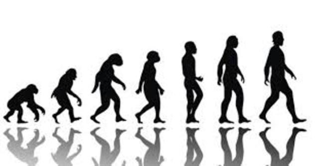 Aparició dels primers humans (Australopitecus)