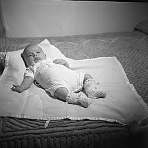 The birth of Bas van Fraassen