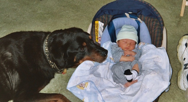 Yo nací en New York en mayo del 2003