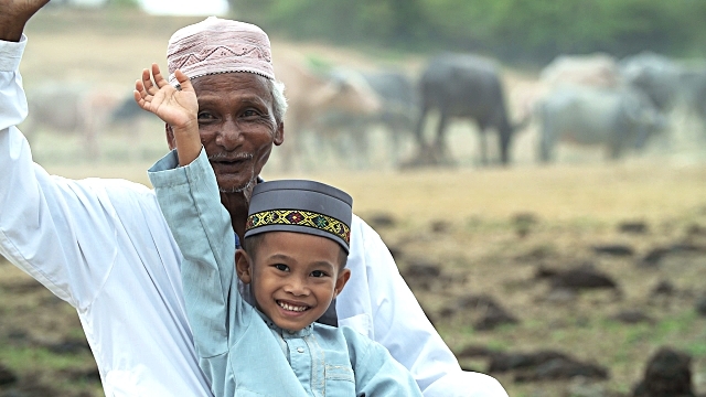 Middle/Late Adulthood: Social