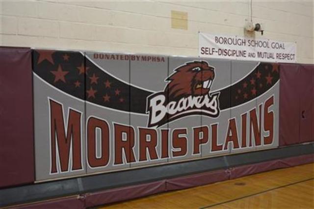 En 2010, yo empezaba ir a Escuela de Borough en Morris Plains. Las clases eran pequeño. La escuela era simpático.
