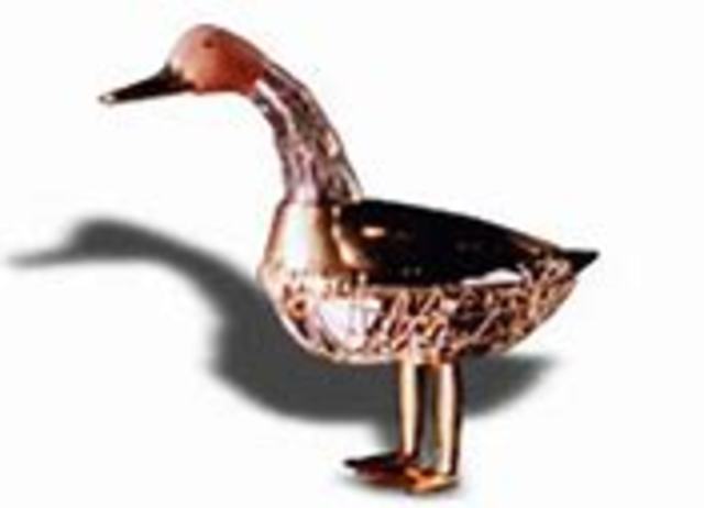 Le canard de Vaucanson