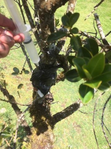 Como se esta dando el cuidado