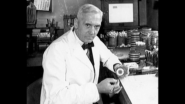 Alexander Fleming discover penicillin