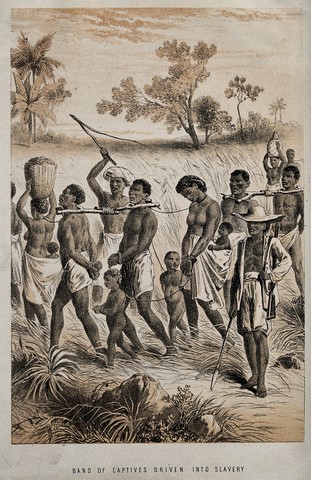 Hernan Cotes & Mexico Pt 2 & The First Slaves