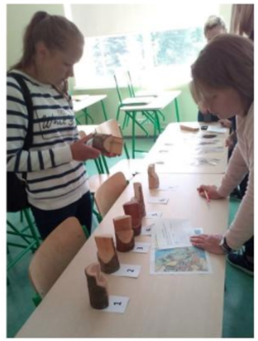 The Day of Environment