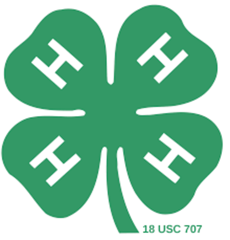 4-H