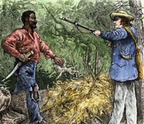 Nat Turner Rebellion