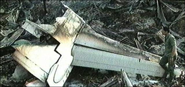 Malaysia Airlines Flight 2133 Crash
