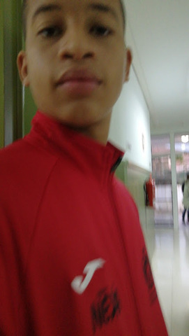 Principio de la unidad