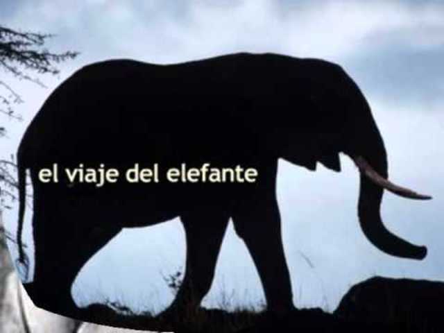 el viaje del elefante