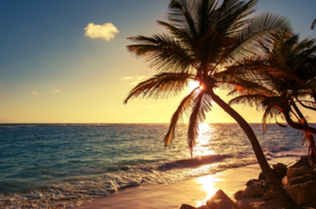 Aniversari de la Laia Playa