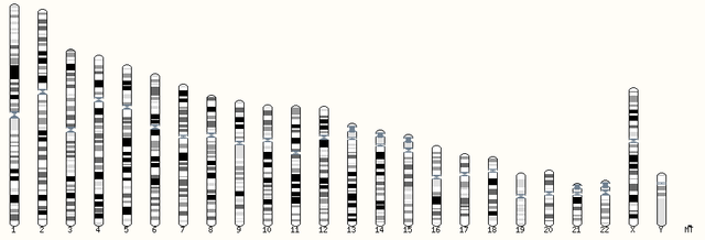 El Genoma humano completo