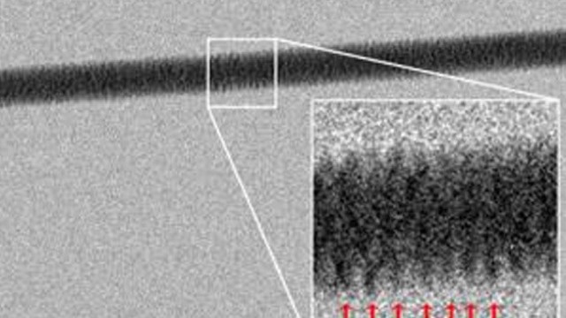 primera fotografia del ADN