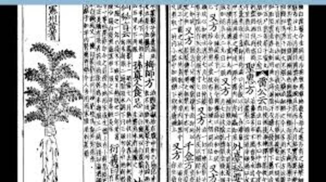 Shen Kuo:Dream Pool Essays