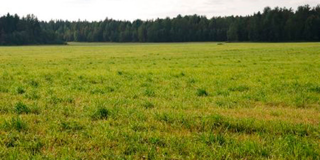 Los Mac Donald donan los terrenos