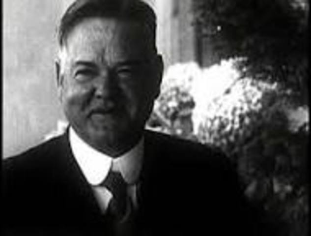 Herbert hoover is elected president