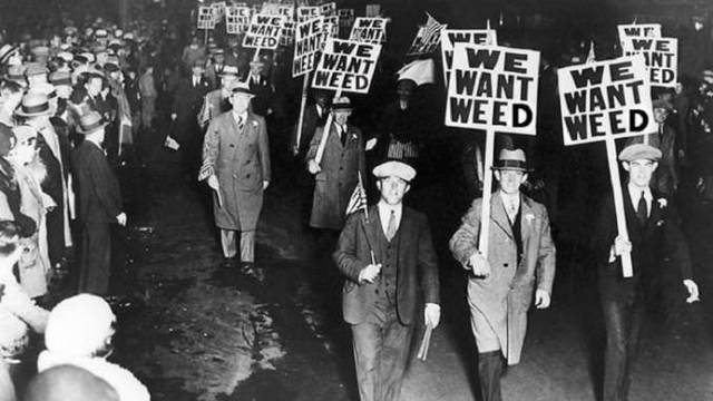 Marijuana Becomes Nationally Criminalized